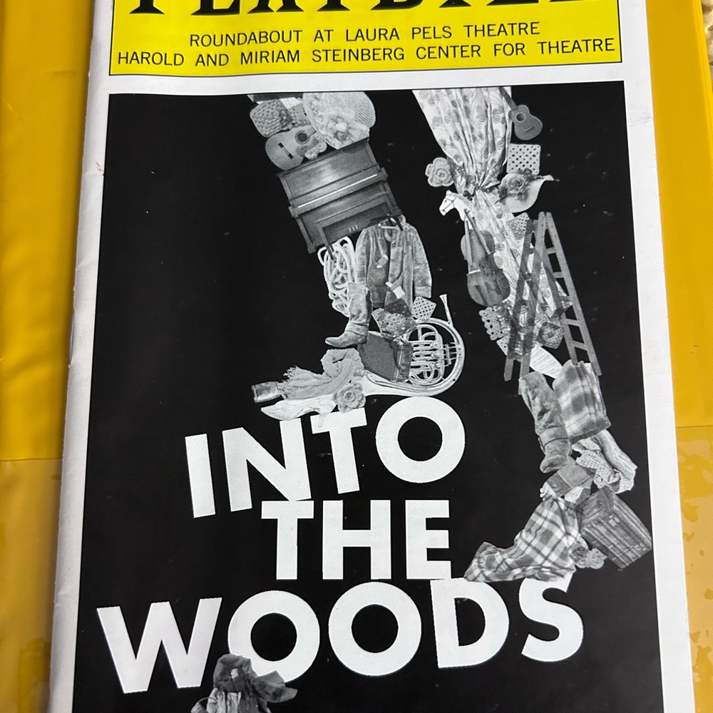 Into the Woods playbill